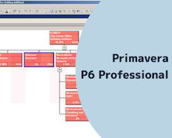 Primavera P6 Professional